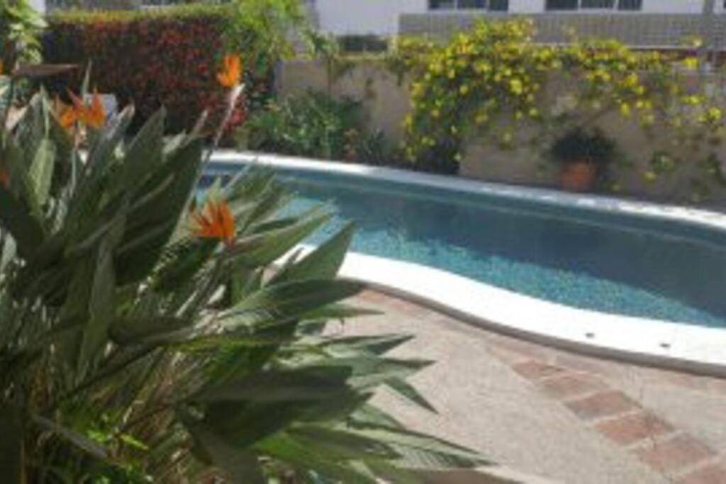 Apartmento Con Alberca A 50 Mt Del Mar La Licha Mazatlán Exterior foto
